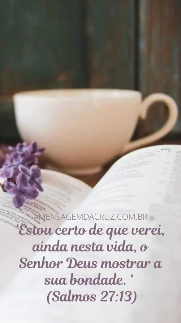 Salmos 27:13