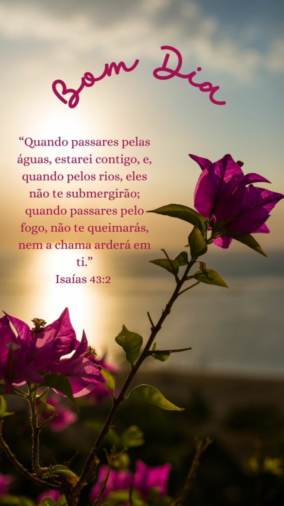 Bom dia com Deus - Isaías 42-3 - 1